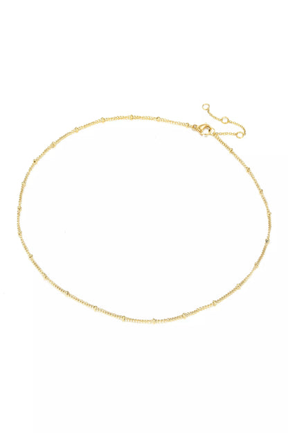 Delicate Choker Necklace